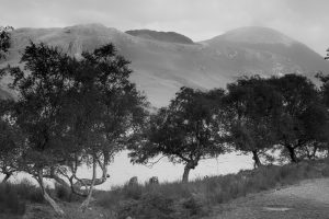 Dacapo band, groupe de musique pop-rock