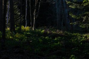 Ambiance de musique pop-rock